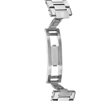 Watch Festina Man in Steel F20053/4 - F20053/4